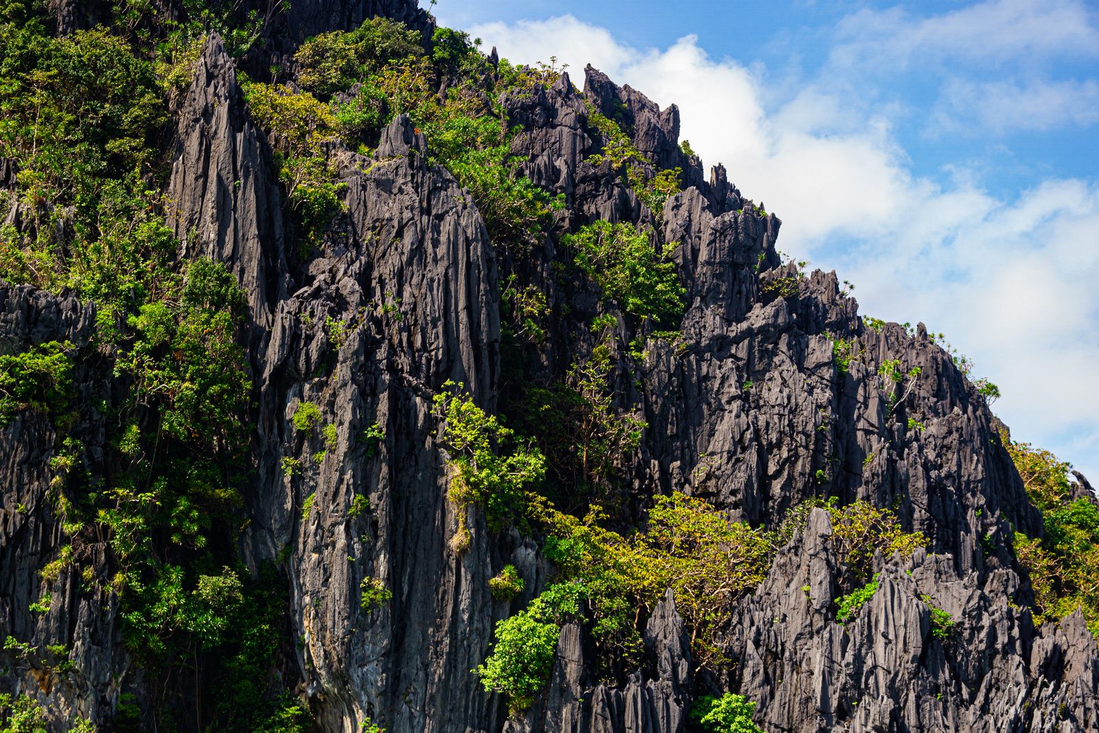 Lush limestone karst peaks